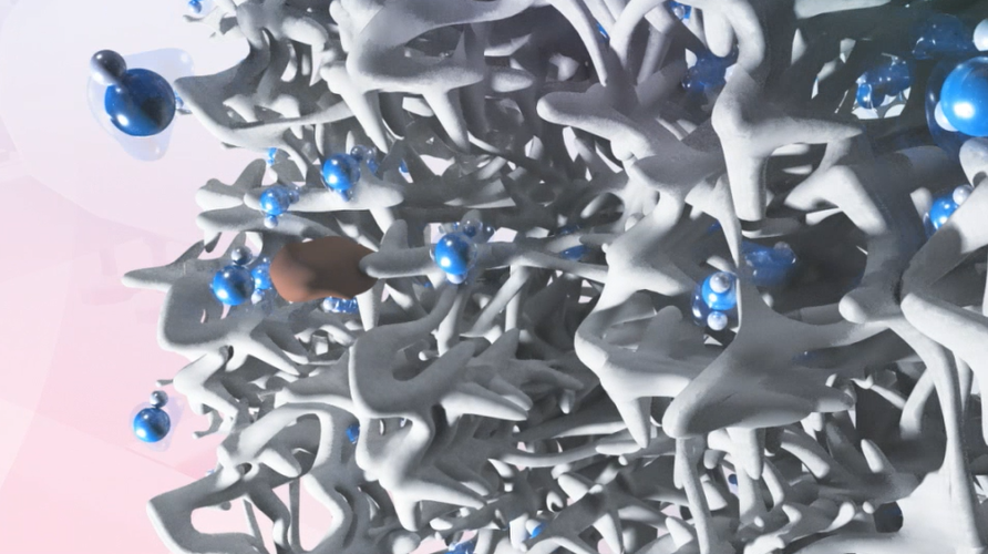 Ultrafiltration Bild